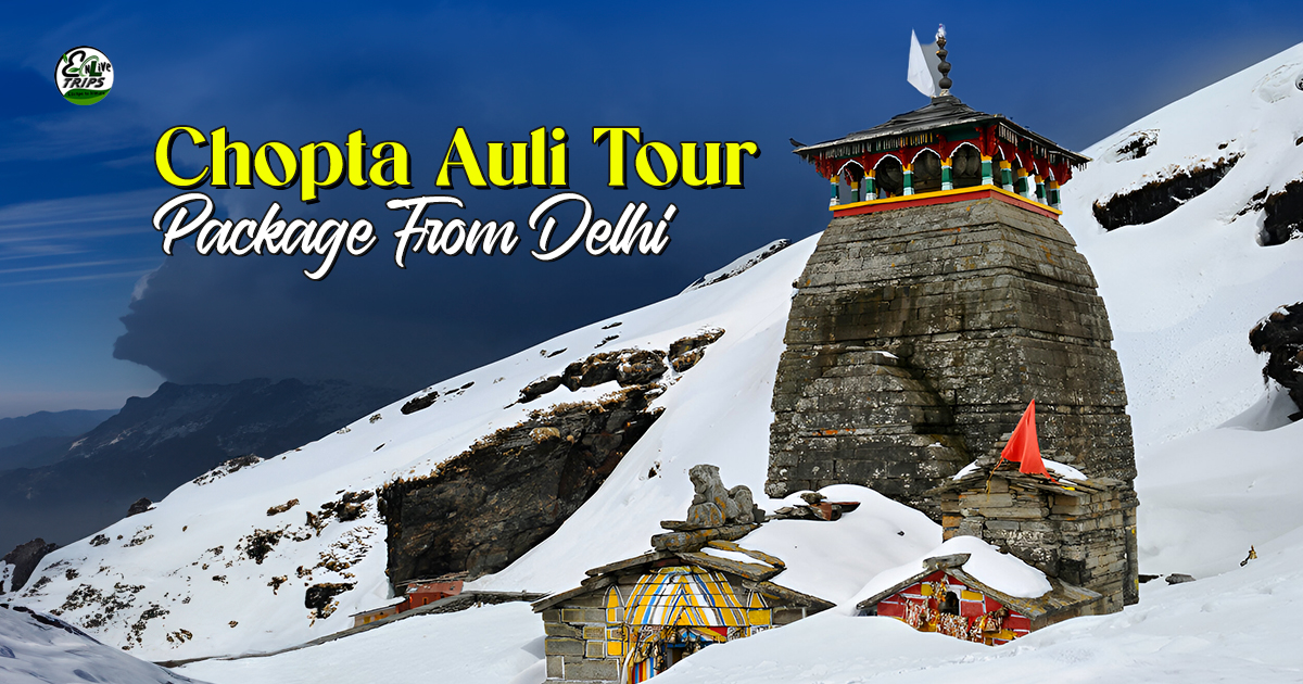 How to Plan Budget-Friendly New Year Chopta Auli  Tour 2026